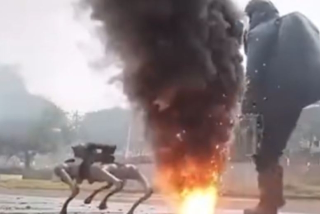 Four-legged Robots Vs. Military Dogs