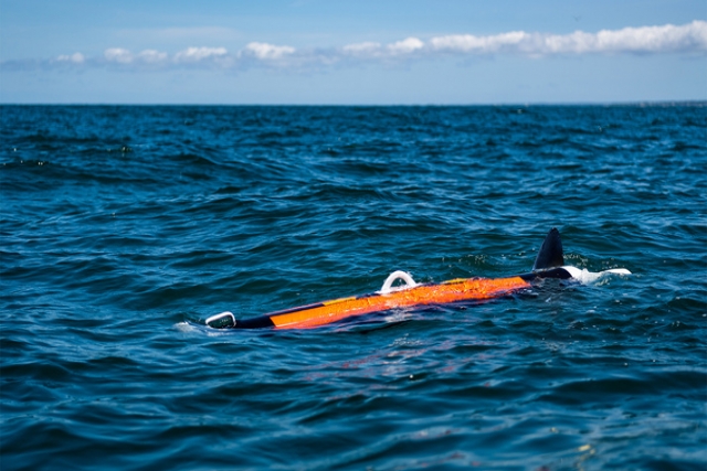 BAE Systems Unveils New Unmanned Sea Vehicle