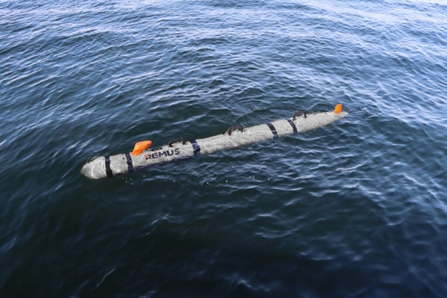 U.S. Navy Orders Lionfish UUVs 