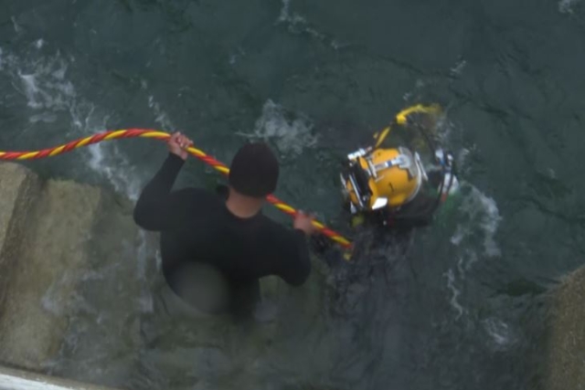 British Military Trials Mussel-Inspired Underwater Glue