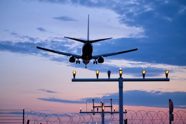 Russia’s Ruselectronics Develops Bird Tracking System for Airport Safety