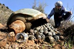 Russia Using Advanced Cluster Munitions In Syria
