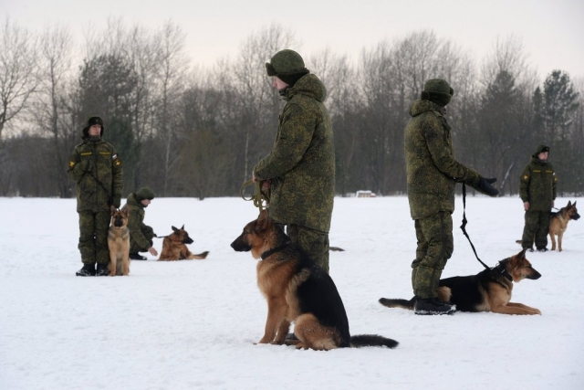 Russia’s Tekhnodinamika Testing Parachute System for Dogs