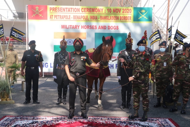 India Gifts Trained Military Horses, Mine Detection Dogs to Bangladesh