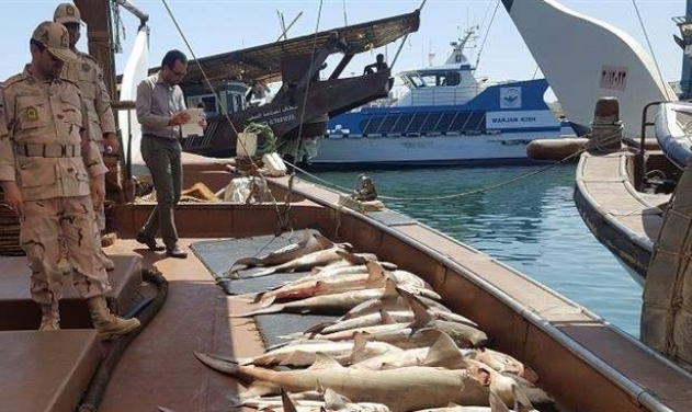 Iran Seizes Four Indian Fishing Vessels, Detains Sixteen Crew Members