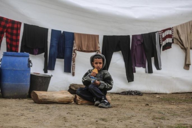 World Food Program Halts Aid from Gaza Pier Following Deadly Israeli Operation