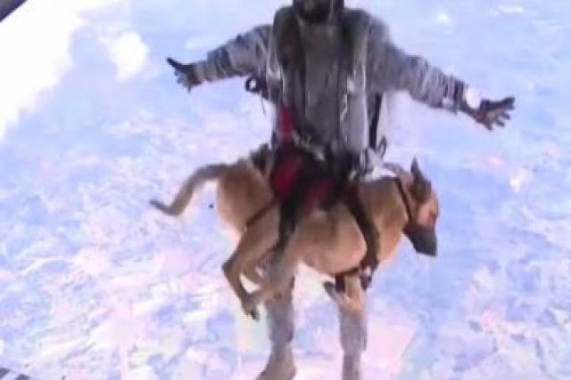 Russia Develops World’s First Man-Dog Parachute System