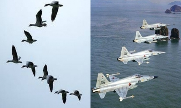 Unidentified Flying Object is Wild Geese, S Korean Fighter Jets Find Out