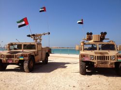 UAE Military To Set Up Cyber Command