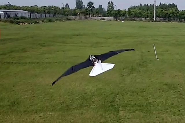 China Develops Wing-flapping Drone that Mimics Falcons