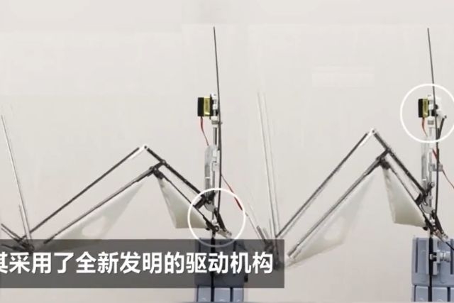China Develops Wing-flapping Drone that Mimics Falcons